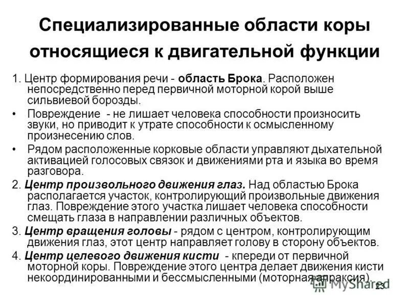 Пирамидный анализатор. Формирование произвольных движений. Лимбическими структурами мозга. Формирование произвольных движений. Развитие произвольной саморегуляции.