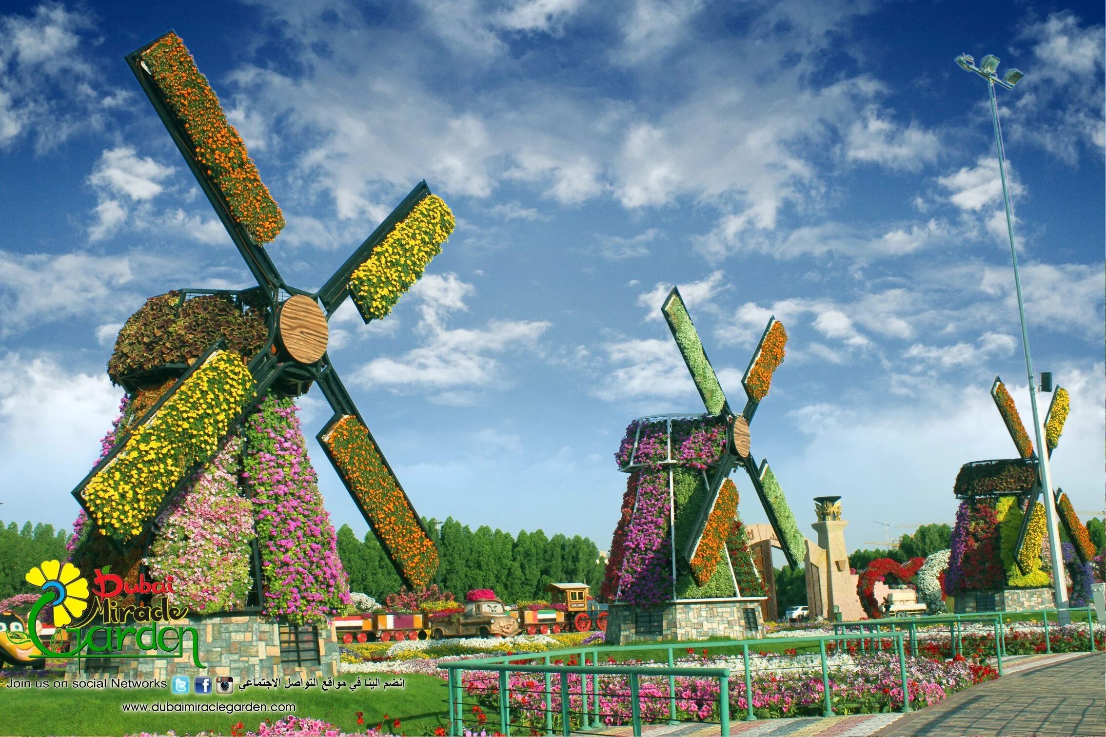 Сад чудес в Дубае. Miracle Garden Дубай. Миракл Гарден парк цветов Дубай. Сад чудес (Miracle Garden).