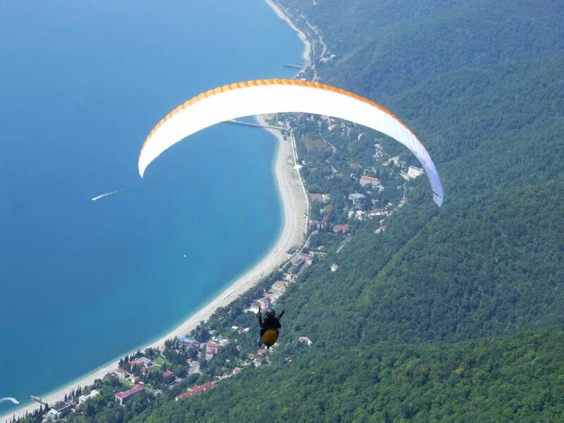 Лулу абхазия гагра. Парасейлинг абхазия. Абхазия гагры животные. Гагра абхазия вид сверху. Колоннада гагра абхазия.