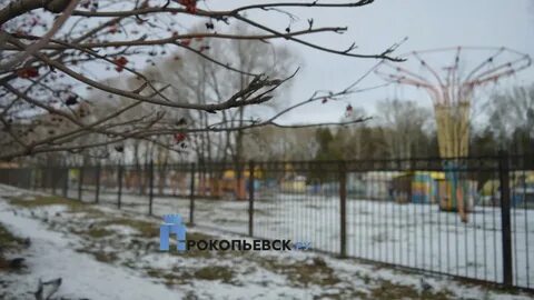Погода в прокопьевске на ноябрь