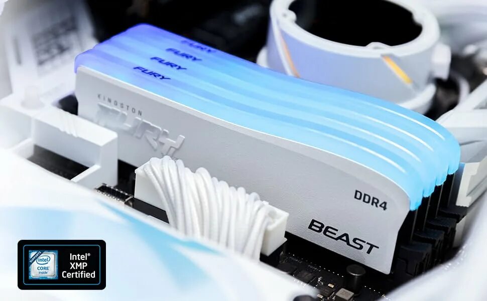 Kingston fury beast white rgb. На какой оперативной памяти работает ryzen 9 7950x?. Kingston fury beast white rgb. Ddr5 hyperx fury rgb. Kingston fury beast white rgb.