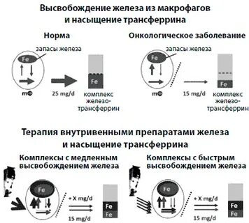 Процент насыщения трансферрина железом
