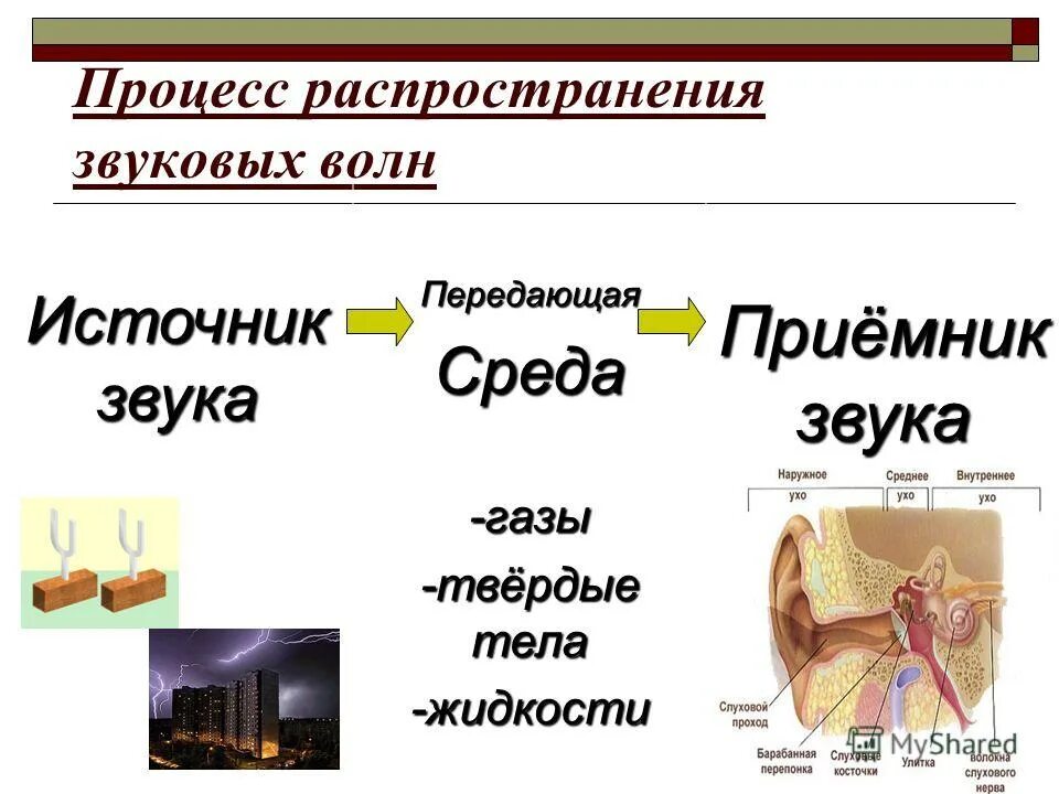 Процесс распространения колебаний в пространстве. Процесс распространения колебаний в пространстве