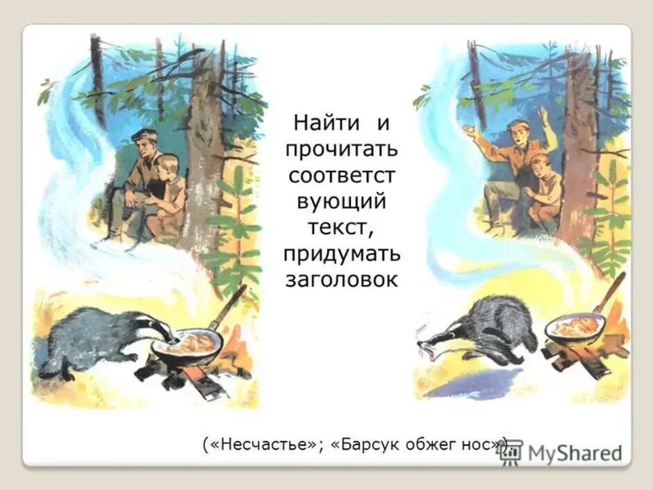 Барсучий нос Паустовский иллюстрации к произведению. Рисунок к рассказу барсучий нос.