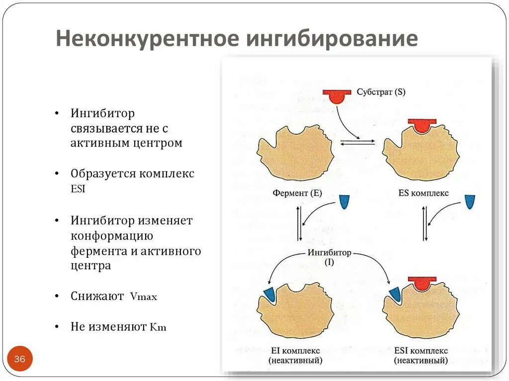 Ингибирование это. Конкурентное и неконкурентное ингибирование ферментов. схема конкурентного ингибирования активности фермента. типы ингибирования ферментов графики. схема механизма конкурентного и неконкурентного ингибитора.