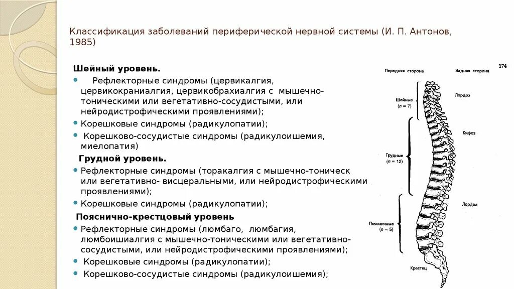 Поражение корешковых нервов. Классификация заболеваний периферических нервов. Корешковый синдром классификация. Нарушения периферический нервний система. Классификация патологий нервной системы.