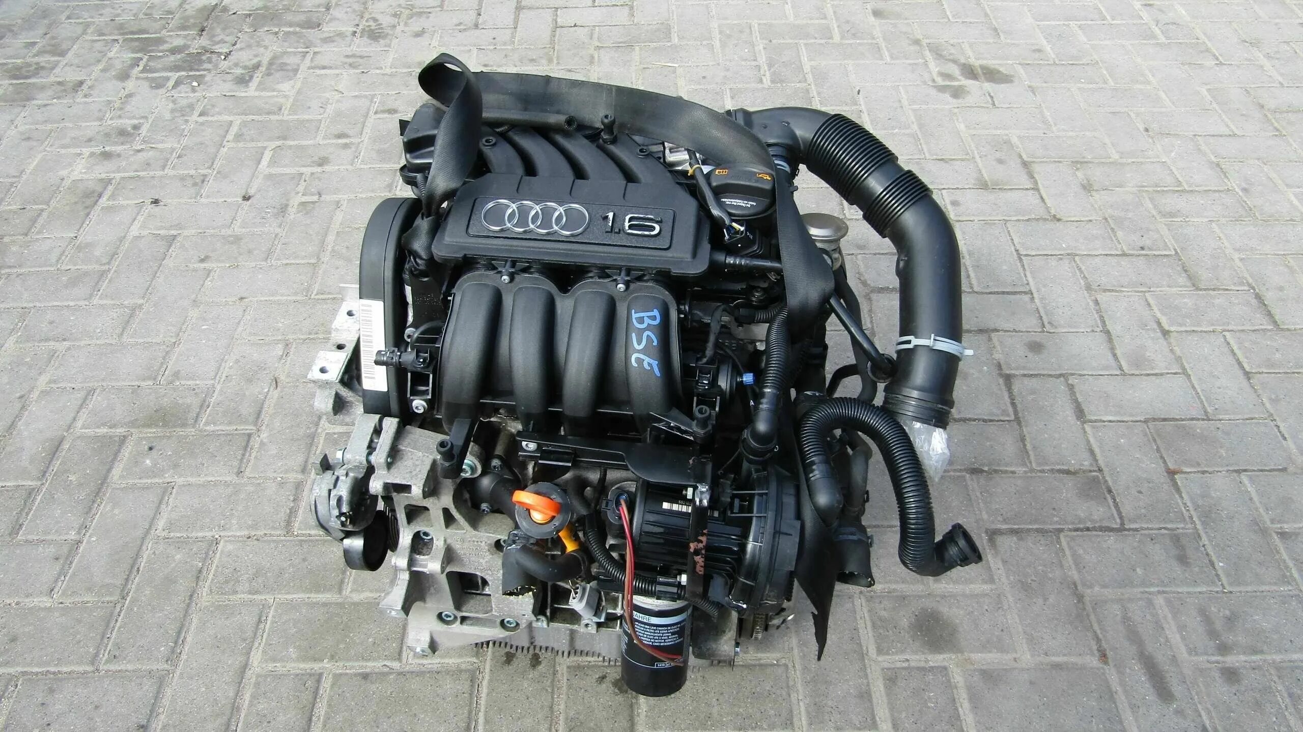 Octavia a5 bse. Мотор VW Golf BSE 1.6. Мотор BSF 1.6. Двигатель бсе 1.6 Фольксваген.