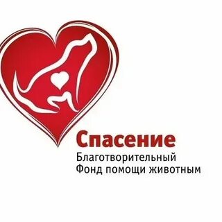 Благотворительные фонды обращения