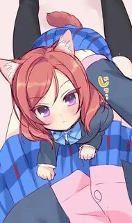 Love live cat