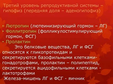 Уровни организации репродуктивной системы