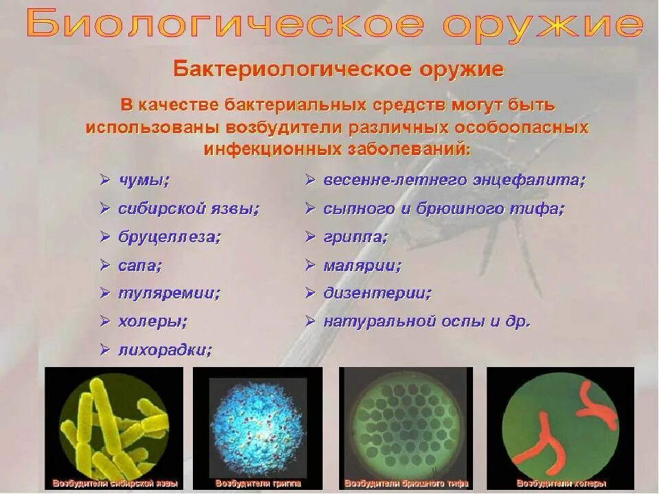 Бактериологические средства поражения. Что такое биологическое оружие,возбудители заболеваний.. Классификация бактериологического биологического оружия. Биологическое оружие болезни. Биологическое оружие классификация инфекционных заболеваний.