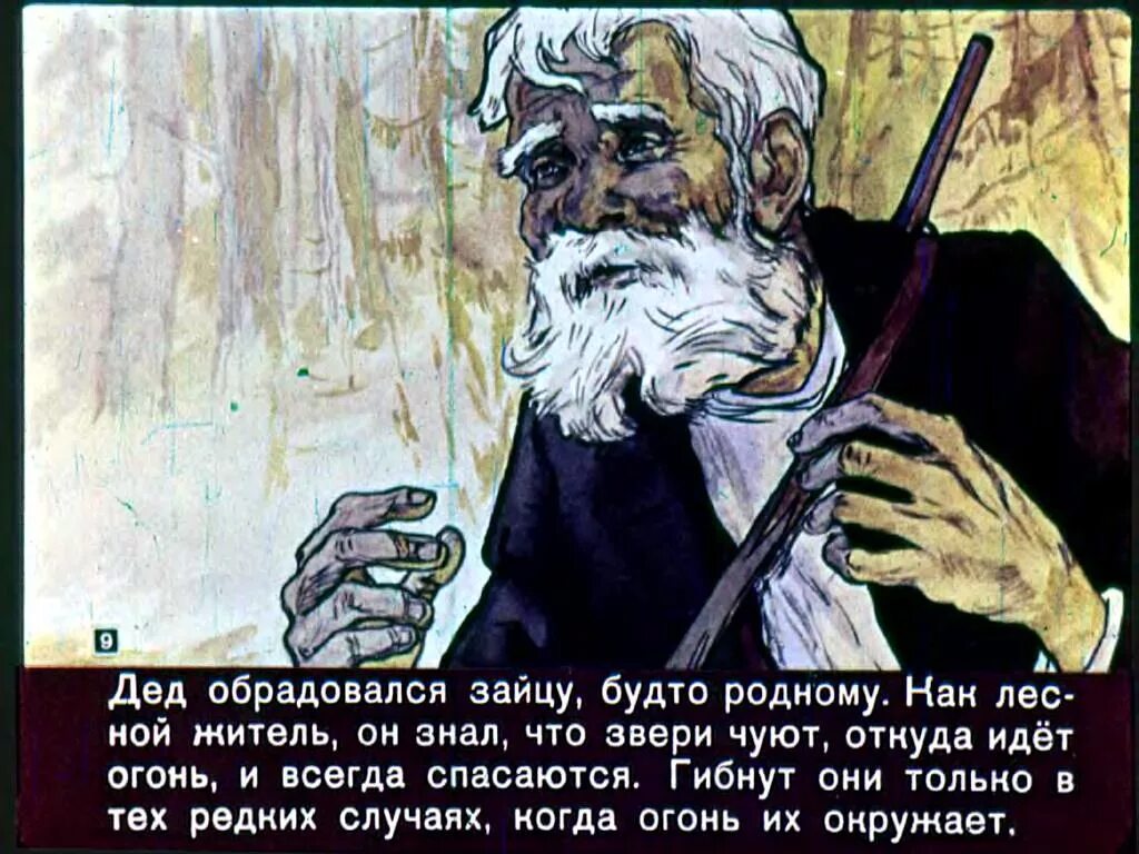 Заяц спас деда лариона от