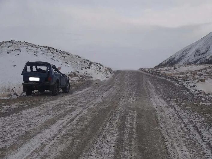 Подслушано кош агач в контакте