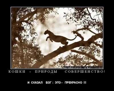 Говоришь род