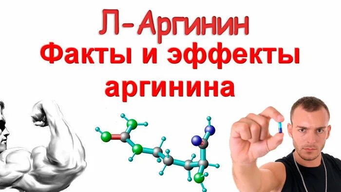 Аргинин функции в организме. Что такое таурин в энергетиках. Л аргинин польза. Аргинин и гормон роста. Аргинин функции аминокислоты.