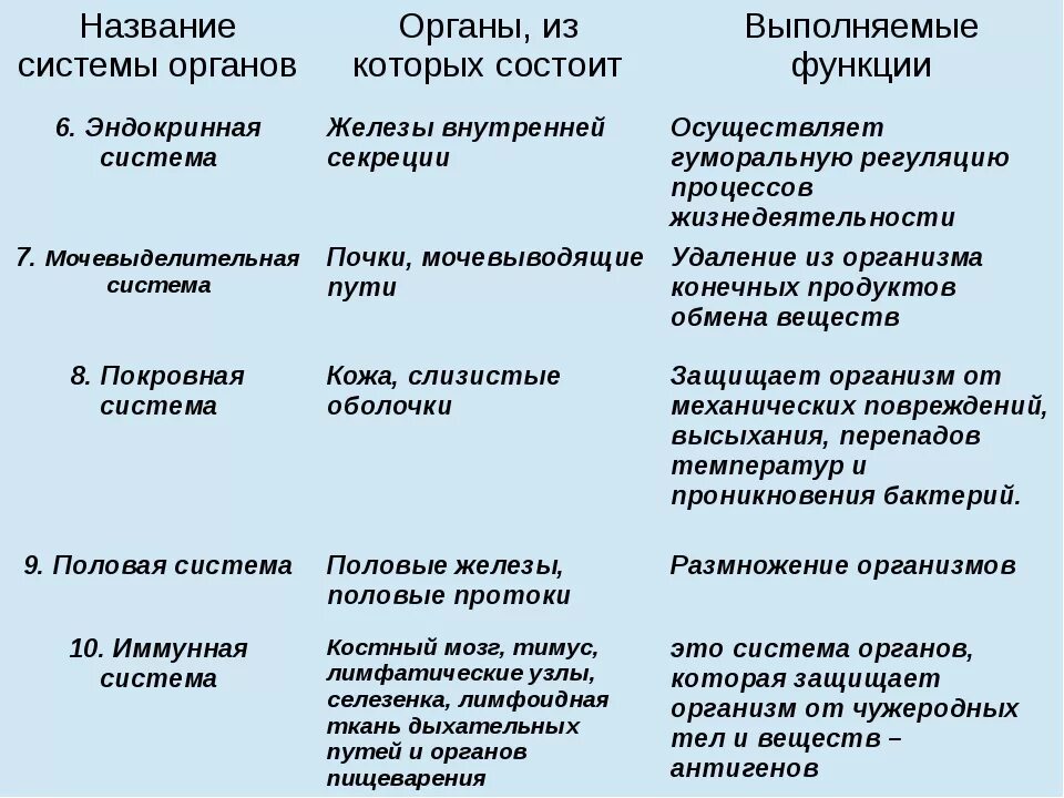 Органы образующие элементы. Таблица по биологии название системы органов органы и функции. Таблица система органов органы функции. Система органов органы образующие систему функции таблица. Таблица по биологии 8 класс система органов органы функции.