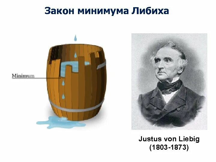 Закон минимума в экологии. Ю Либих закон минимума. Бочка Либиха и лимитирующие факторы. Закон минимума Либиха в экологии. Закон минимума Юстуса Либиха.