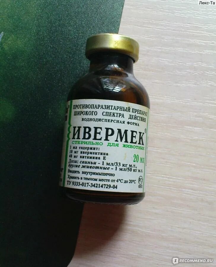 Ивермек инструкция по применению для животных овец. Ветеринарный препарат ивермек. ивермек лекарство для животных. ивермек для крс дозировка.