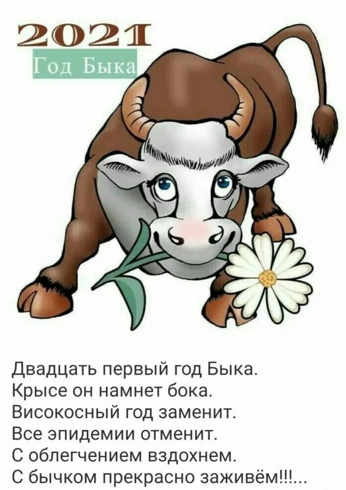 Открытка с годом быка прикольная. Рожденные в год быка в 2024. 2009 год кого. Рожденные в год быка. Рожденные в год быка в 2024.