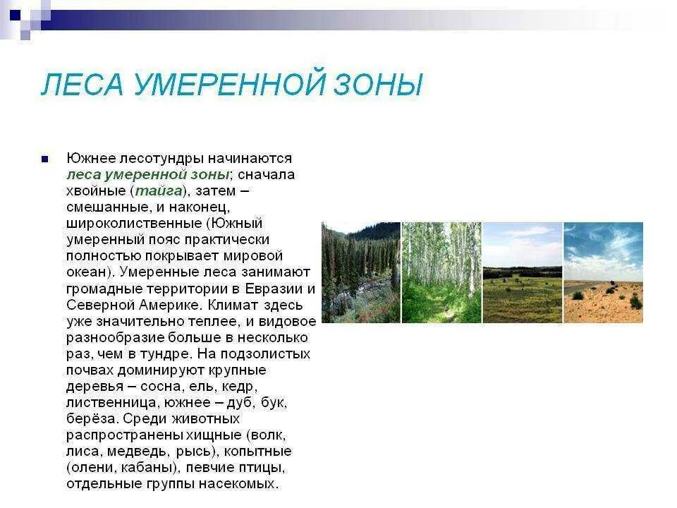 Климатический пояс лесных зон. Климат горно лесной зоны. Зона смешанных широколиственно-хвойных лесов на карте. Климатический пояс лесных зон. Смешанные и широколиственные леса климат растения животные таблица.