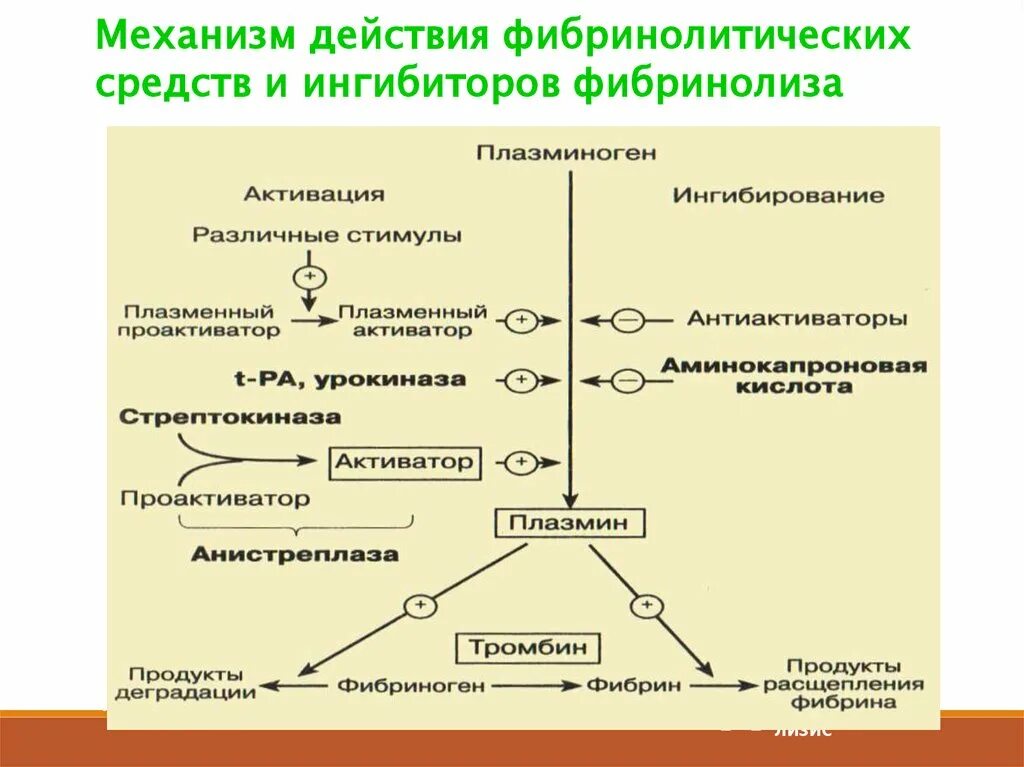 Фибринолитики это. Ингибиторы фибринолиза механизм. Схема действия ингибиторов фибринолиза. Механизм действия фибринолитических средств. Активаторы фибринолиза механизм действия.