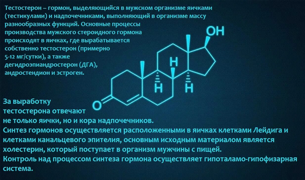 Повышение тестостерона у мужчин. Тестостерон. Мужской гормон тестостерон. Мужской половой гормон тестостерон. Клетки вырабатывающие тестостерон.