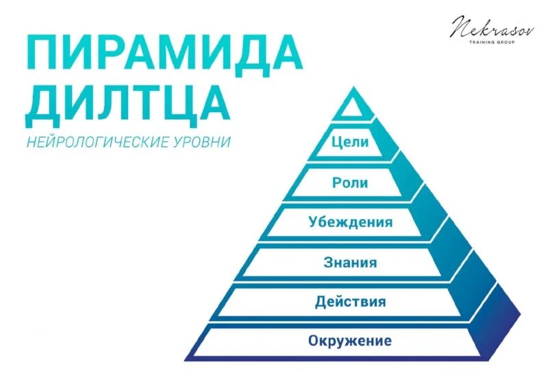 На следующий уровень а также. Пирамида нейрологические уровни Дилтса.