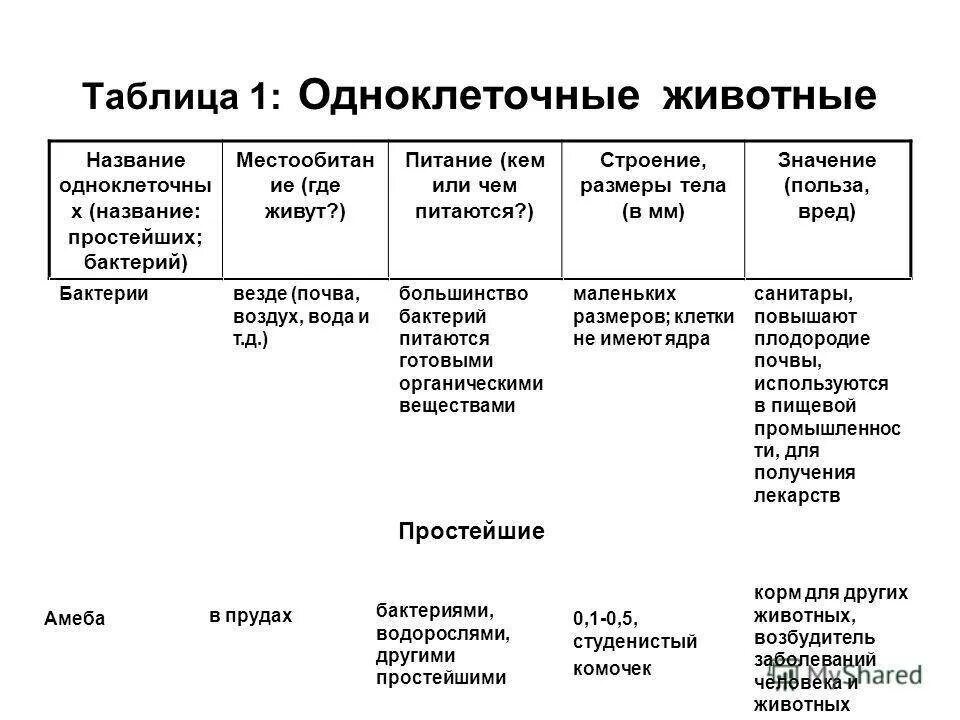 Сходство и различие строения простейших