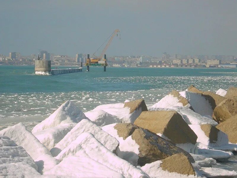 актау пальмы. зима в каспийске. актау зимой. актау зимой. зимний актау.