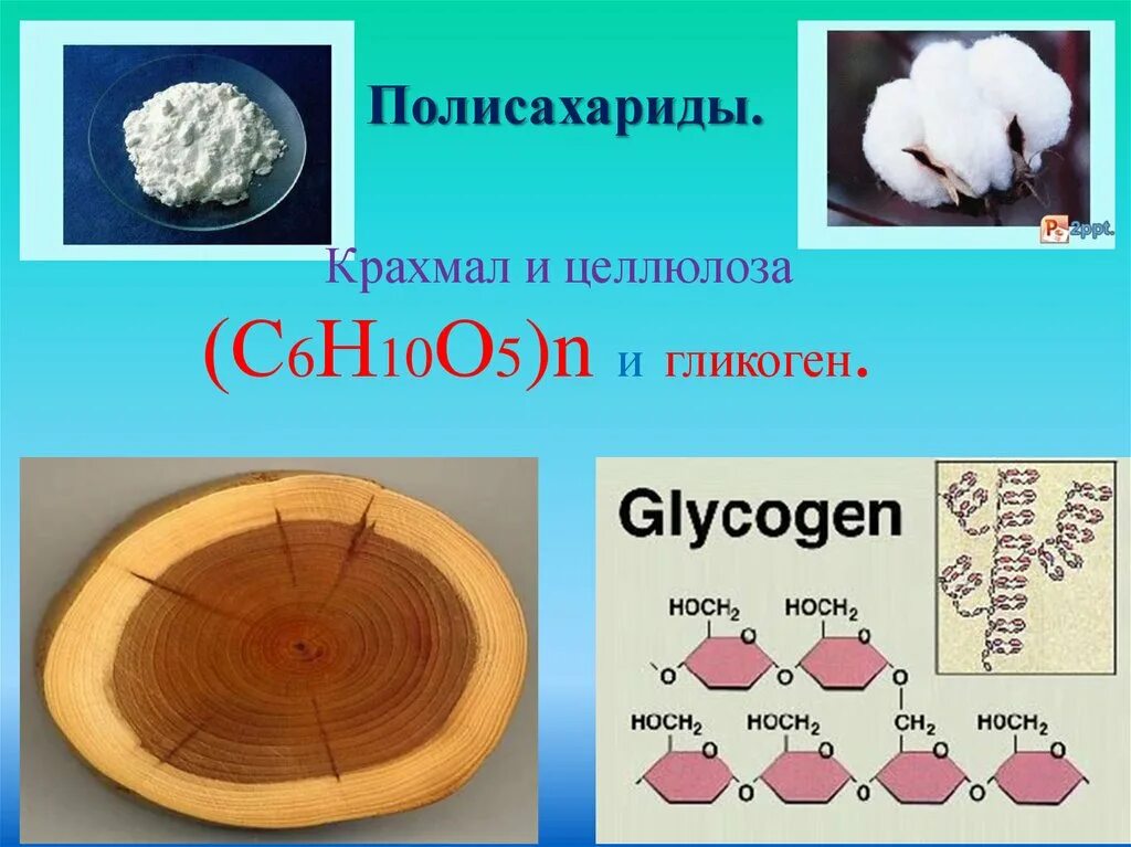 Крахмал амилоза и Целлюлоза. Полисахариды крахмал и Целлюлоза. Презентация полисахариды крахмал. Полисахариды.крахмал ,Целлюлоза презентация.