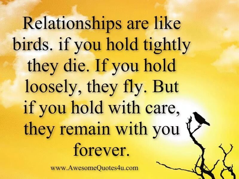 They like birds. Funny quotes about Life. Hold tightly. Kinship quote. Quotes about Birds.
