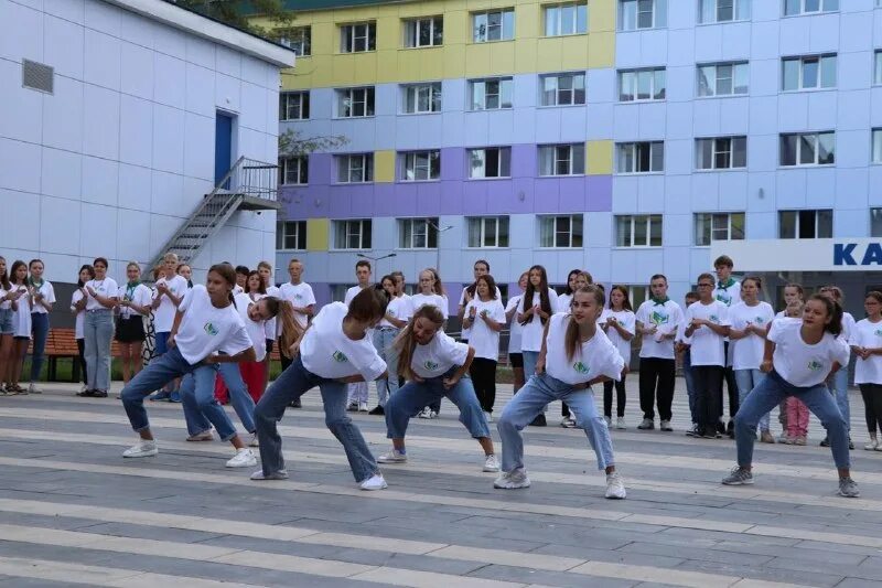 Станина ксд 1750. Дм3583. Цо и ксд. Здоровый ребенок. Дифманометр ксд.