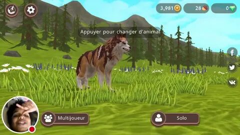 Wildcraft много денег и кристаллов последняя версия