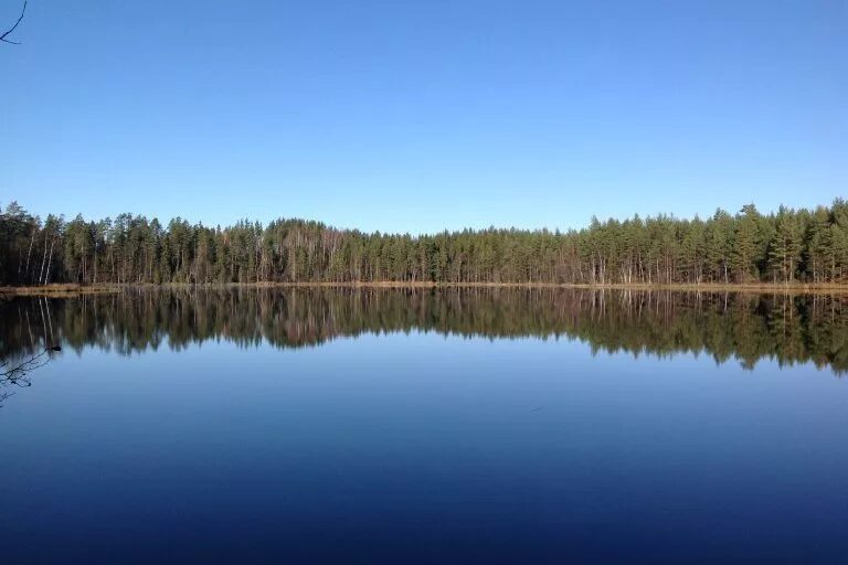 Луговых озерах. Малое Луговое озеро Ленинградская область. Озеро Луговое Ленинградская область Приозерский район. Озеро большое Приозерский район. Озеро Луговое Каменногорск.