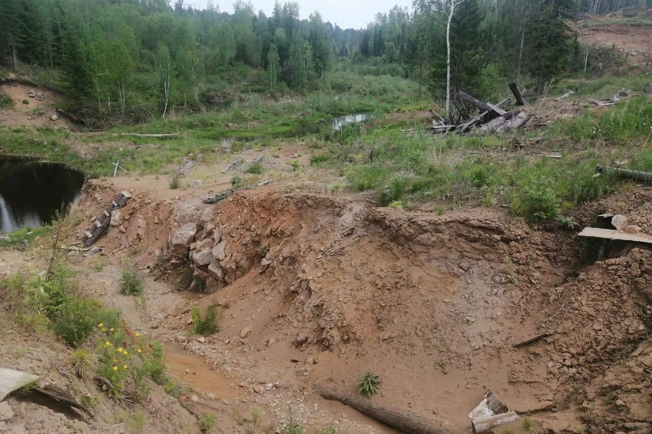 Добыча 16. Золото в Красноярском крае. Ленский золотоносный район. Золотодобывающая Артель Печора. Золотодобыча в Башкирии уничтожение земель.