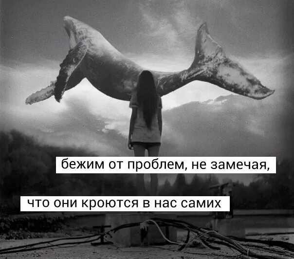 Опять бежишь куда бежишь