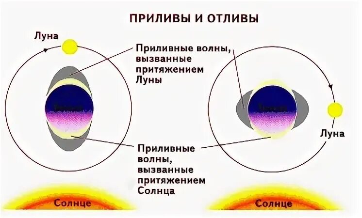 Приливы и отливы Луна. Приливы и отливы влияние Луны. Влияние Луны на приливы. Лунные и солнечные приливы. Приливы и отливы и притяжения луны