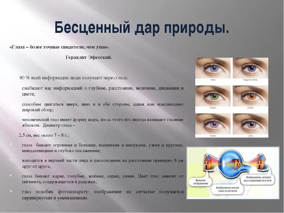 Воздух через глаз. Интересные сведения о глазе. Интересные темы о глазах. Зрение человека. Интересные факты о глазах.