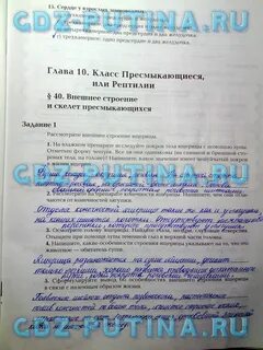 Тетрадь по биологии 7 класс суматохин