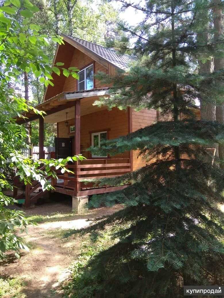 Валентиновка дача ефремова. Валентиновка дачный посёлок подмосковье. Дома в королеве валентиновка. Дача никулина. Дома в королеве валентиновка.