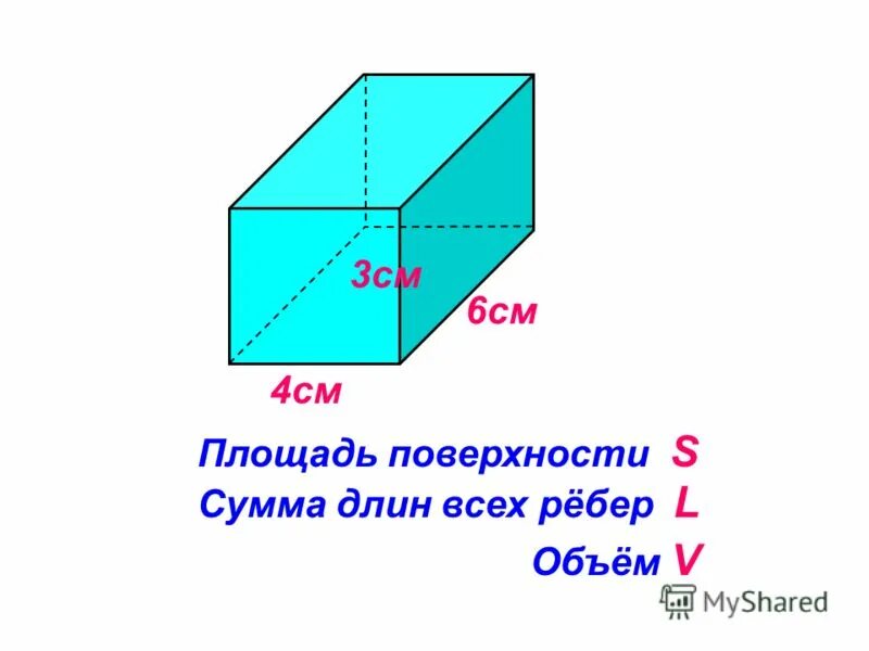 Площадь поверхности и сумму длины. Площадь поверхности и сумму длины