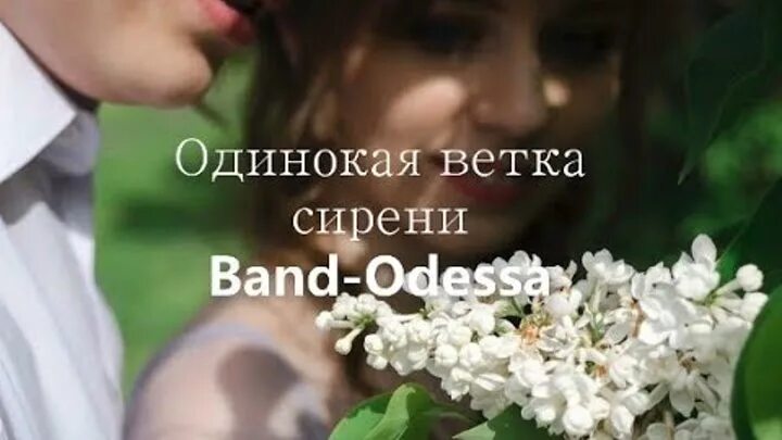 Плыл по городу запах сирени песня слушать. Одинокая ветка сирени. Одинаковая ветка сирени. Песня одинокая ветка сирени.