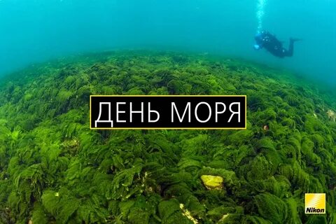 День моря