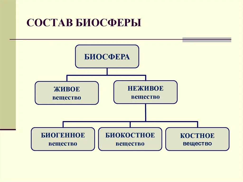 Важнейшая составная часть живого организма. Схема состава веществ биосферы. Общая структура биосферы. Структурные части биосферы. Состав компонентов биосферы.