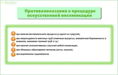 Результаты инсеминации