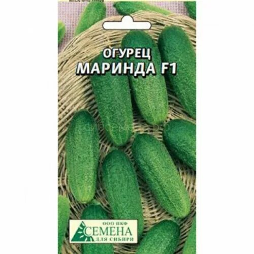 огурец донской пассаж f1 сиб сад. сорт cucumber kuch. огурец куча мала. огурец орленок f1 (1 г) семко. семена огурец торнадо седек.