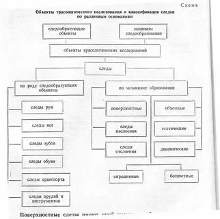 Механизм образования и классификация следов отображений