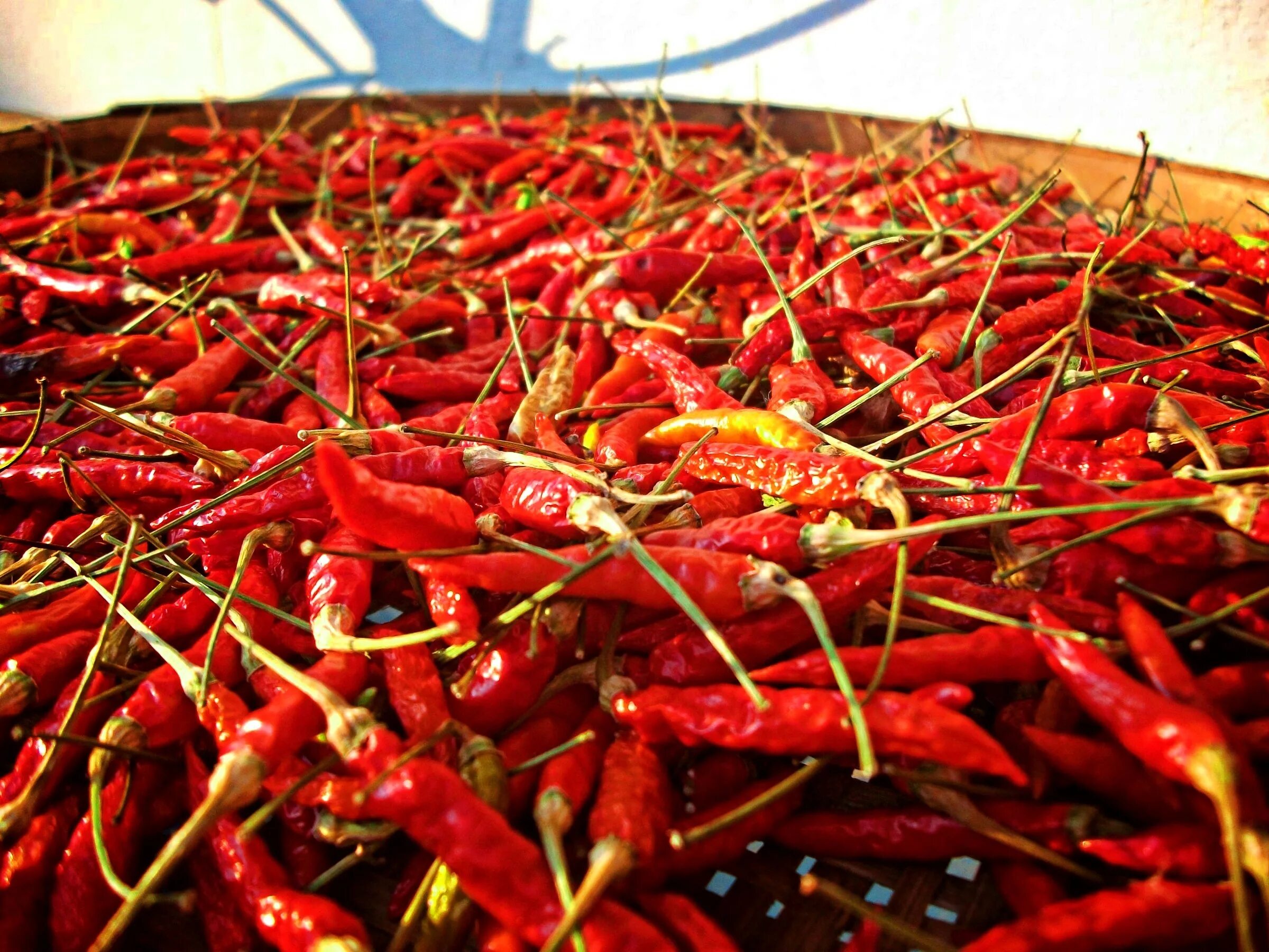 Red food красная. Крная еда. Блюда красного цвета. Red food красная. Паттерн кулинария.