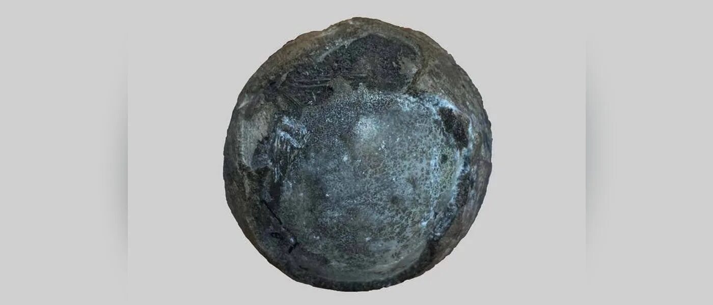 Fossil egg