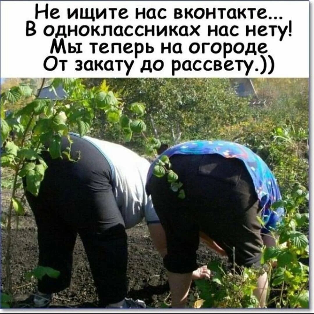 Люди в огороде. Приколы про огород. Прикольное про огород. Баба пашет на огороде. Прикольные пугало для огорода.